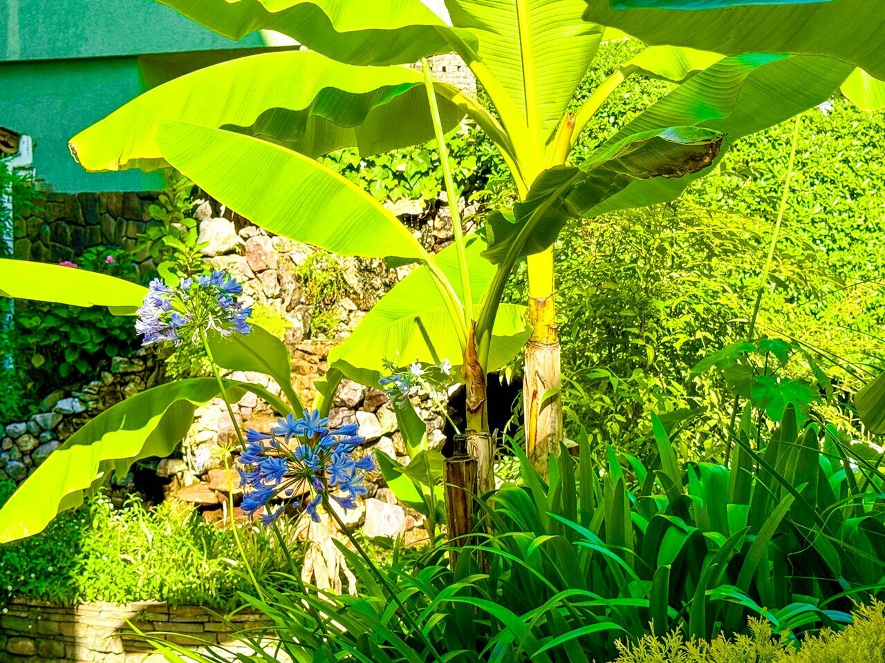 Гостиница Вива Виктория Адлер-51