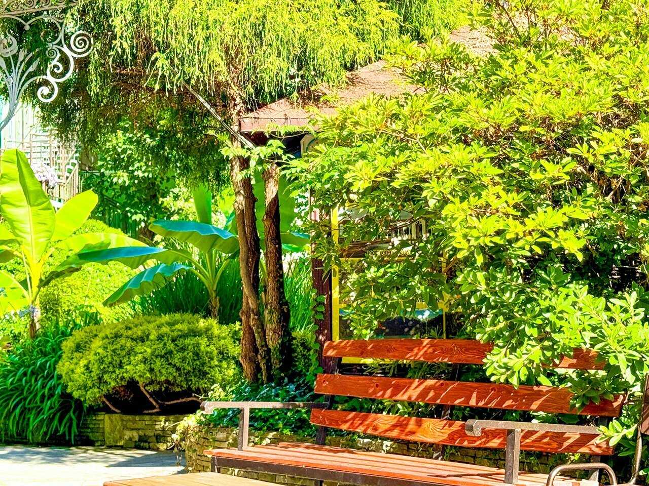 Гостиница Вива Виктория Адлер-58