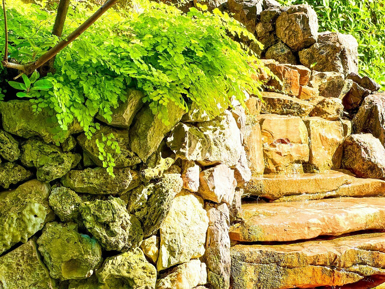 Гостиница Вива Виктория Адлер