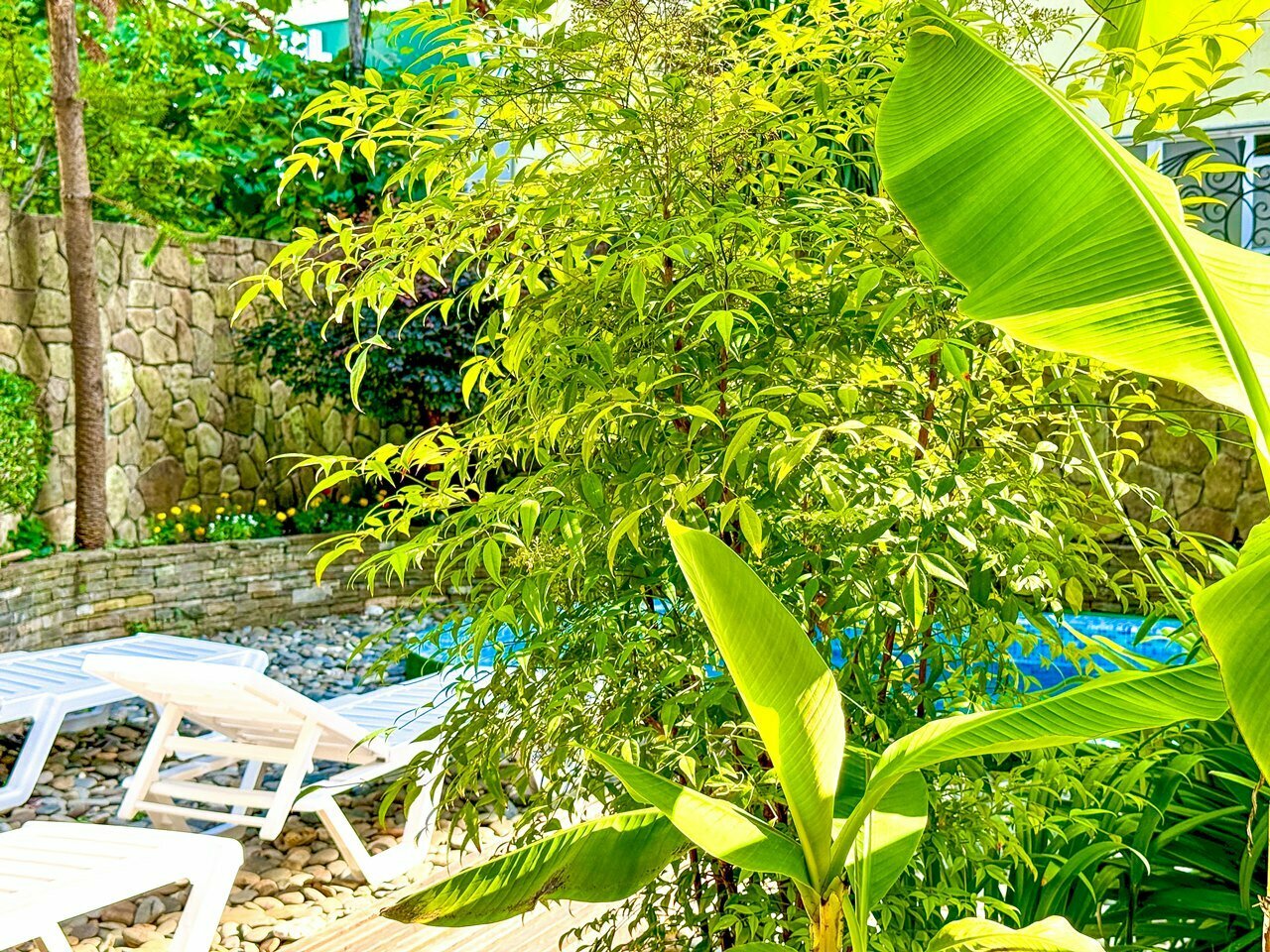 Гостиница Вива Виктория Адлер-47