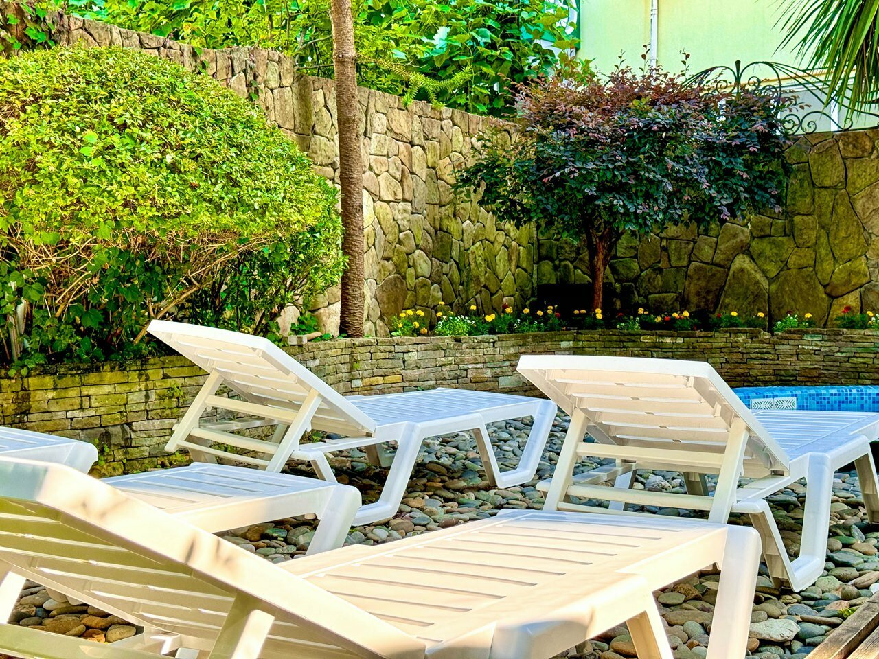 Гостиница Вива Виктория Адлер-36