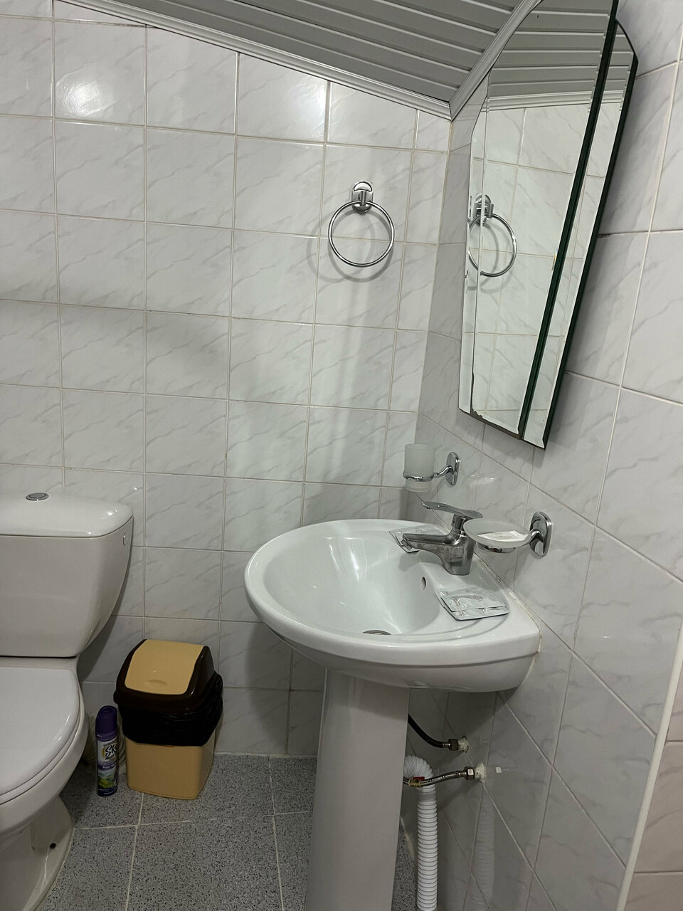 Гостиница Вива Виктория Адлер-61