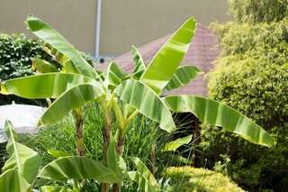 Гостиница Вива Виктория Адлер-4