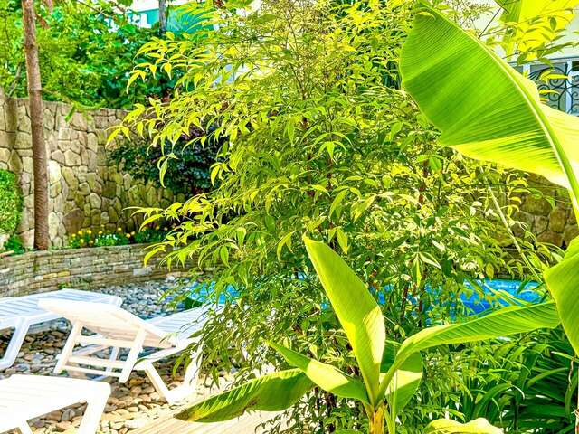 Гостиница Вива Виктория Адлер-46